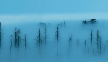 手機APP開發_網站開發_網站建設