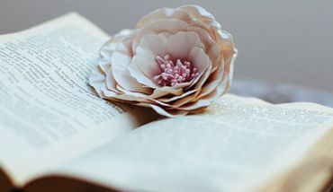 手機APP開發_HTML5開發_商城系統開發_網站建設