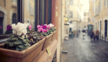 微信小程序開發_微信公眾號開發_微信商城系統開發_公眾號代運營