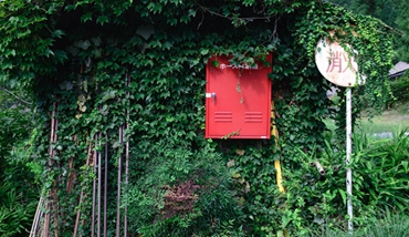 商城系統開發_網站建設_APP開發_外貿商城系統