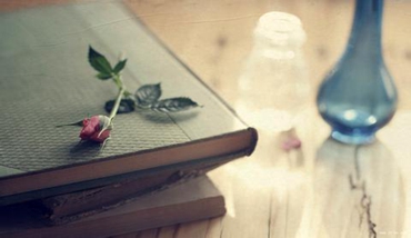 網(wǎng)站優(yōu)化_網(wǎng)站建設(shè)，網(wǎng)絡(luò)開發(fā)