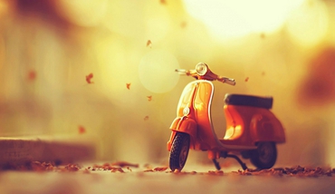 定制開發_APP開發_網站建設_商城系統開發