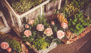 微信小程序開發_公眾號運營_微信推廣