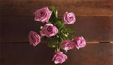 婚紗攝影小程序開發公司