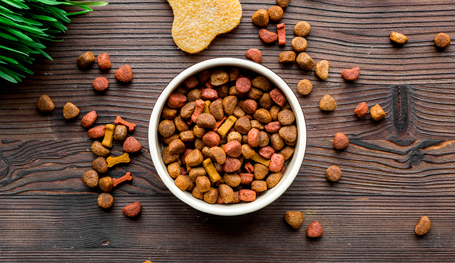 寵物用品小程序