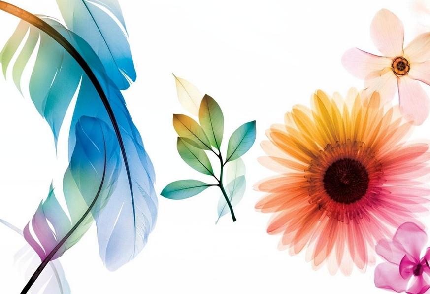 網頁設計師,網頁設計開發